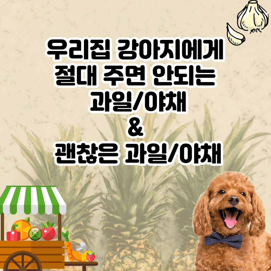 개가 먹어도 되는 과일과 야채는? (절대 주면 안되는 과일/야채)
