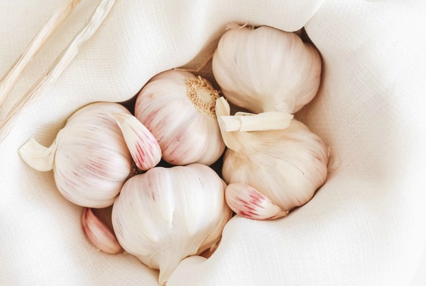 마늘에 대한 모든것 - 전 세계 마늘 소비량 순위