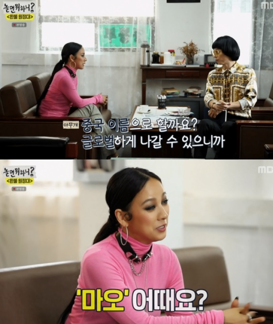 이효리 마오 논란 정리 (한국 네티즌 타격감0)