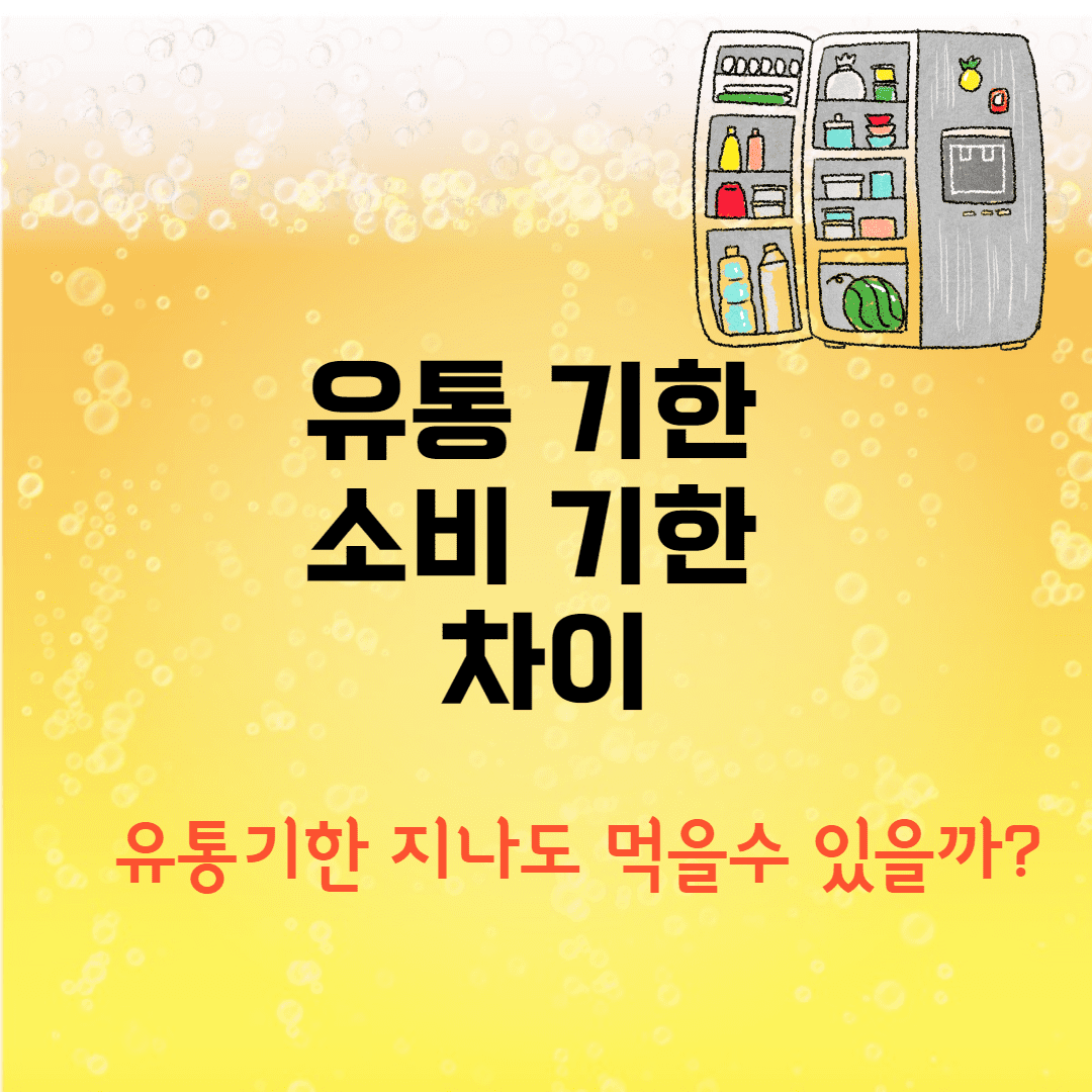 유통기한 소비기한 차이 (라면, 두부, 식빵, 우유, 요거트, 계란, 치즈 유통기한 지나도 먹을 수 있나요?)