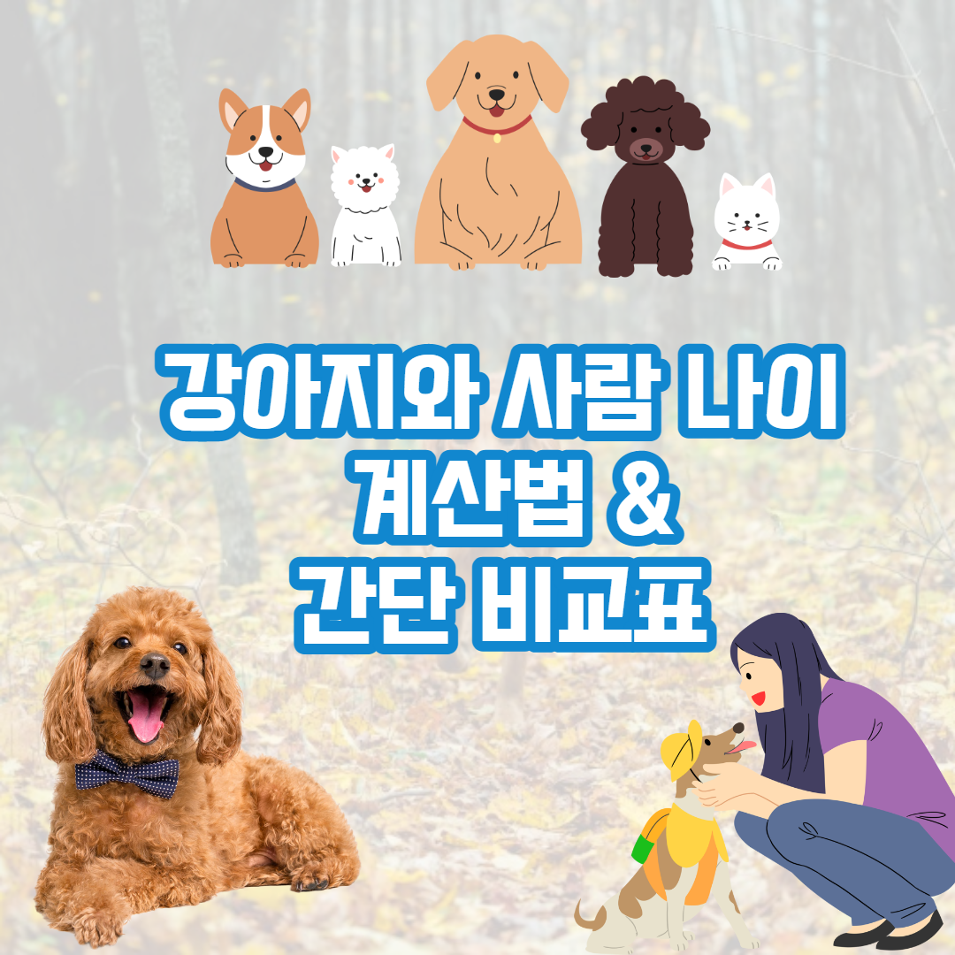 강아지와 사람 나이 계산 (쉽고 간단한 비교표)