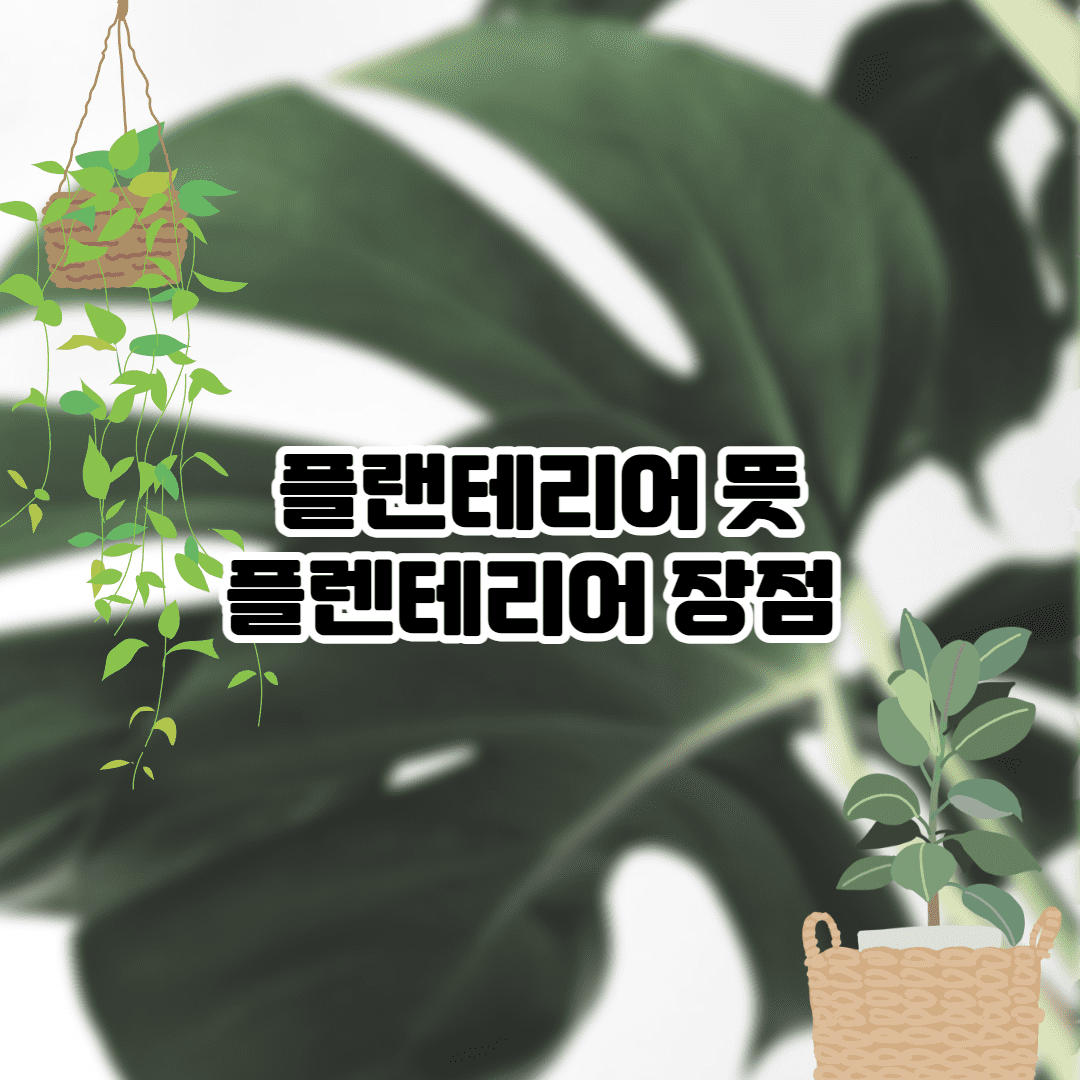 플랜테리어 뜻 (3줄요약 + 장점)